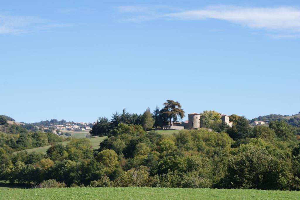 Chateau Du Besset Saint-Romain-de-Lerps Esterno foto