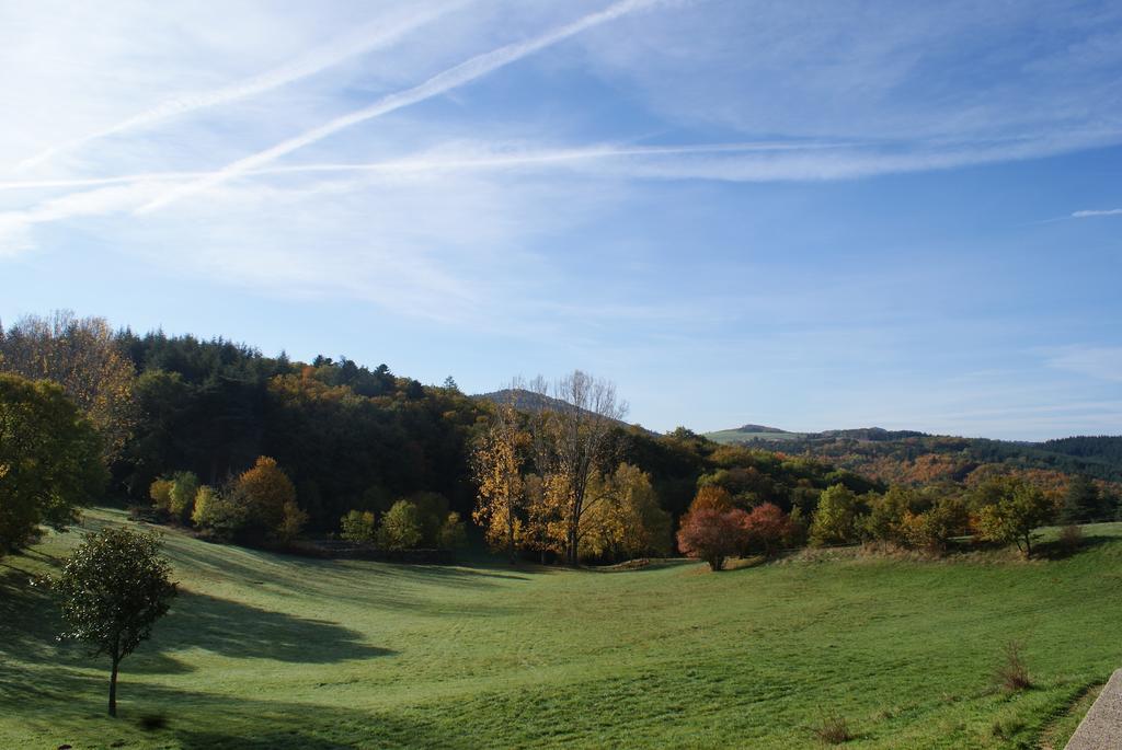 Chateau Du Besset Saint-Romain-de-Lerps Esterno foto